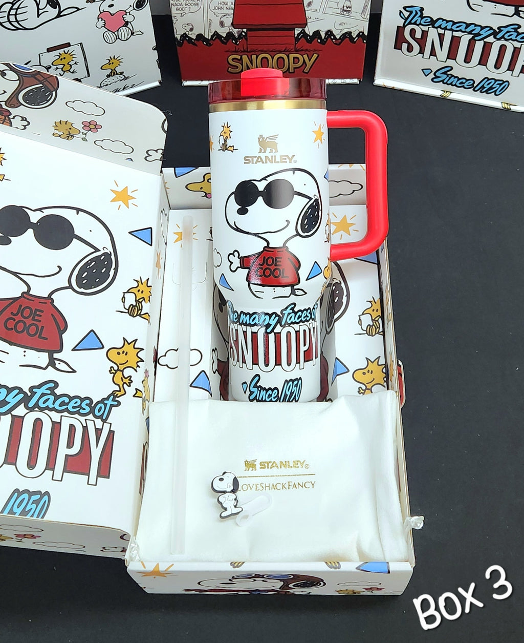 SNOOPY Stainless Steel Tumbler Cups w/GIFT BOX | 40 oz